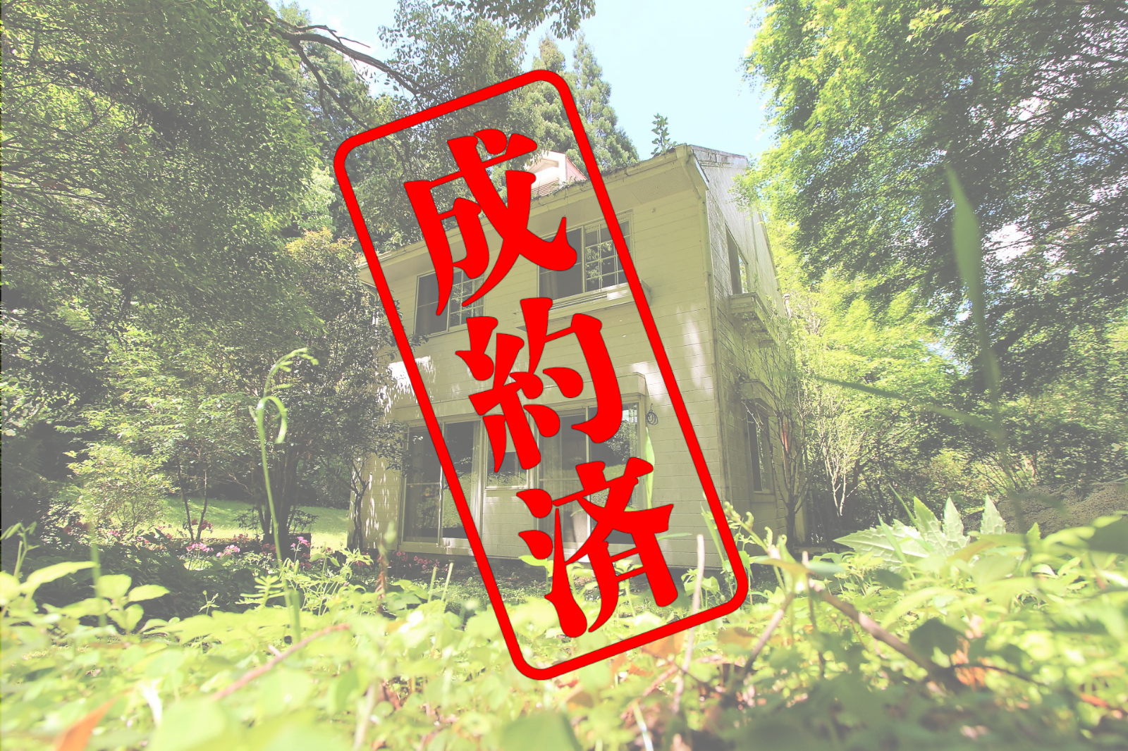 成約済(1027).png